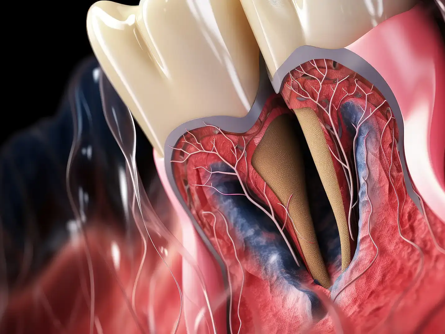 Endodontics in Milan - Dental Practice VERCELLI 42